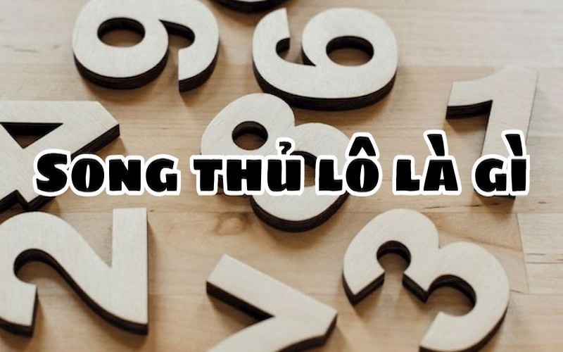 Song thủ lô là gì giải thích định nghĩa